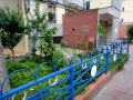 DSC07677